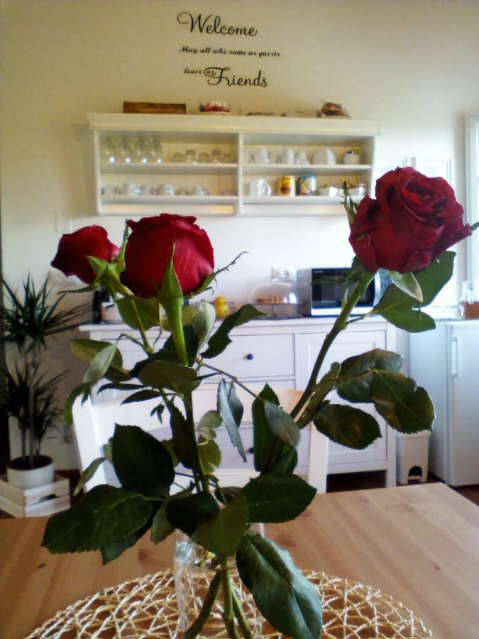 Guest house Corte San Lazzaro Lucca