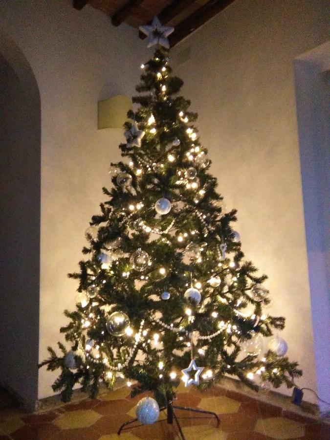 Guest house Corte San Lazzaro Lucca